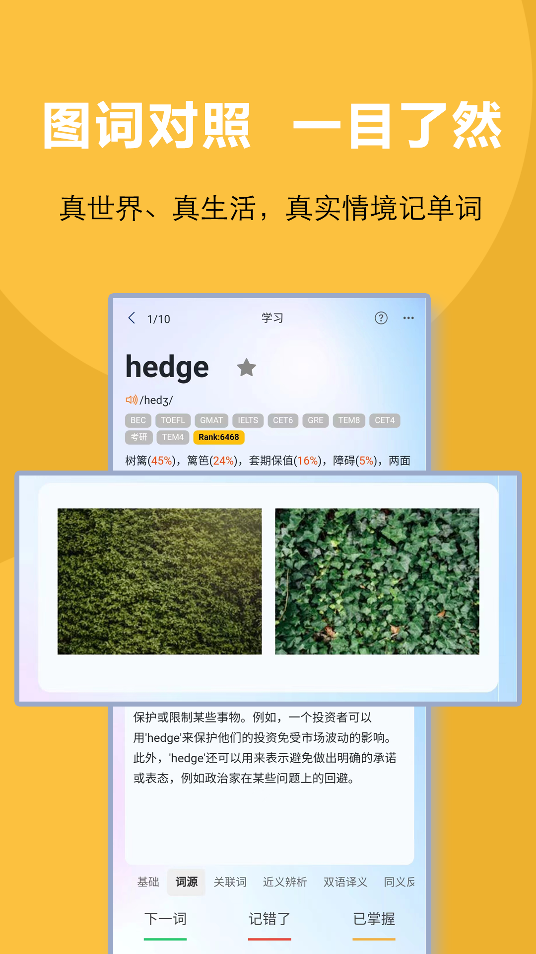 过目不忘单词界面截图预览(2)