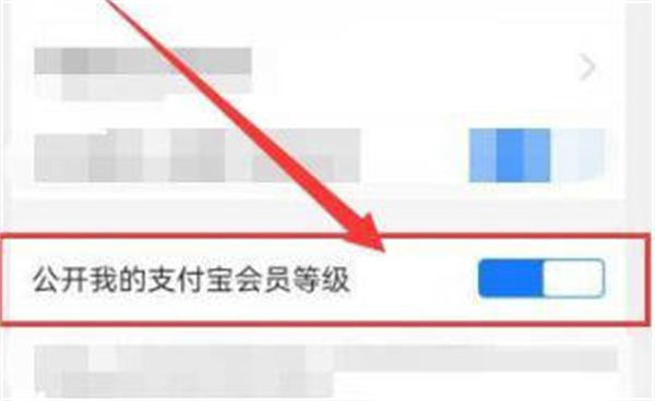 支付宝隐藏会员等级