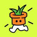 种草组件app1.0 安卓版