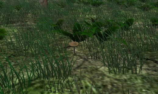 真实采蘑菇模拟器游戏官方版The Mushroom Hunter
