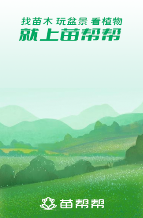 苗帮帮app