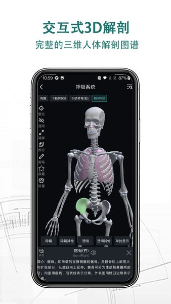 掌上3D解剖手机版