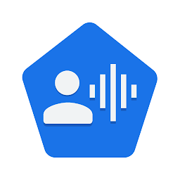 Voice Access app v6.1.530397167安卓版