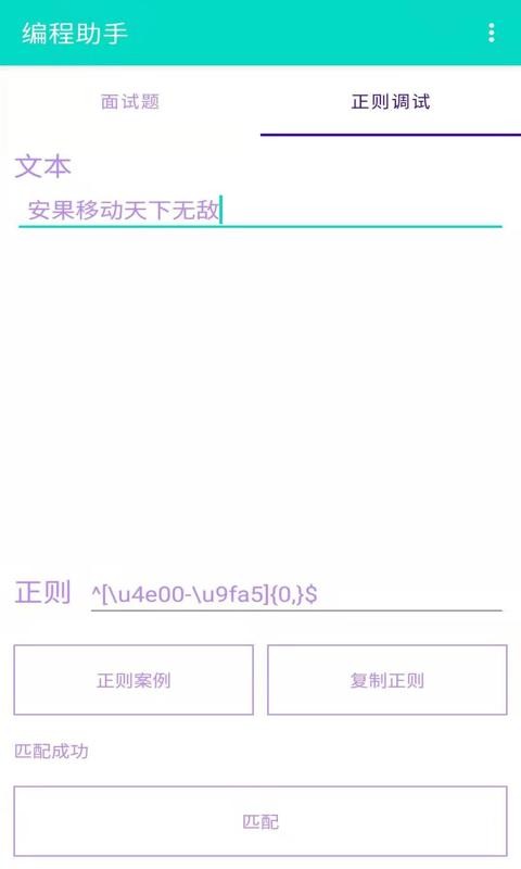 编程助手