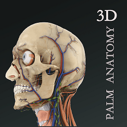 掌上3d解剖app v2.5.5安卓版