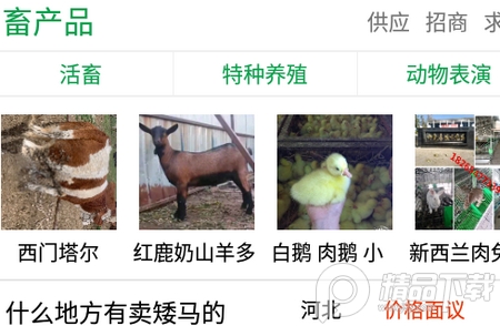 中国畜牧网