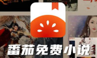 番茄小说作者收入怎么计算