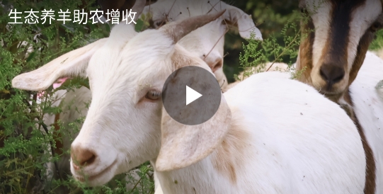 沿河融媒