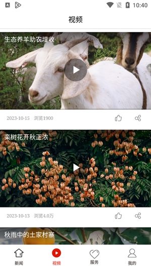 沿河融媒