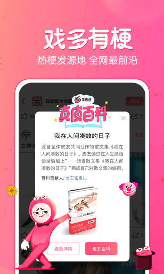 皮皮虾pro专业版界面截图预览(2)