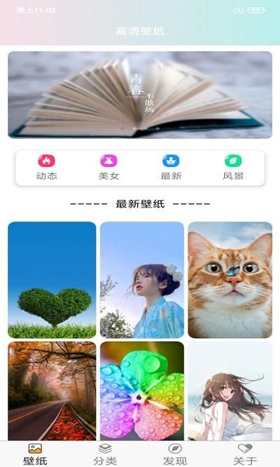 壁纸主题大全-动态超清壁纸