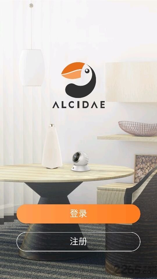 Alcidae