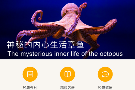 英语 pk 台