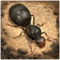 小小蚁国国际版The Ants 3.27.0安卓版