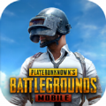 pubg mobile国际服2.9版本v2.9.0安卓版