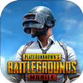 pubg黑暗直装(PUBG MOBILE)v2.8.0安卓版