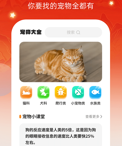 畅快汇看