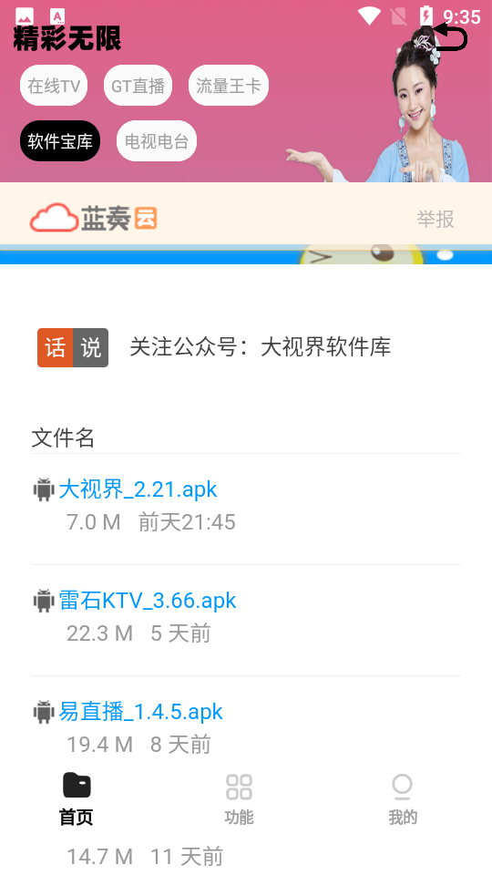 大视界