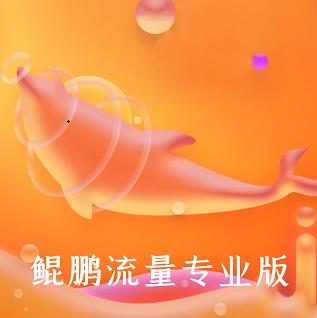 鲲鹏流量专业版v1.0.0安卓版