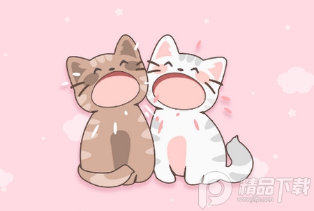 Duet Cats