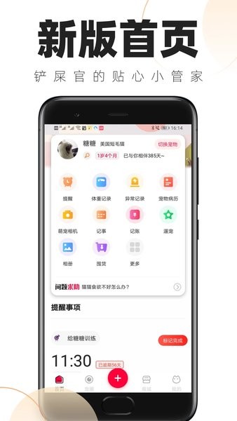 铲屎官的日常app共用账本