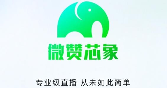 芯象