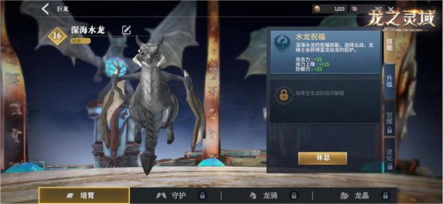 龙之灵域