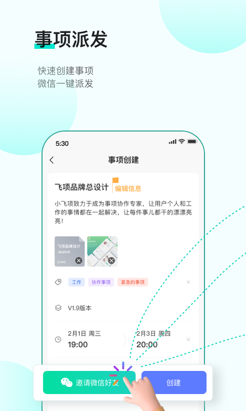 飞项