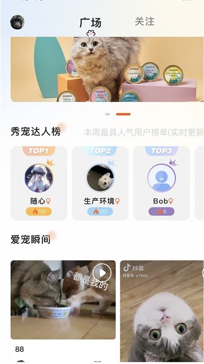 哆伽宠