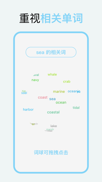 向量单词界面截图预览(1)