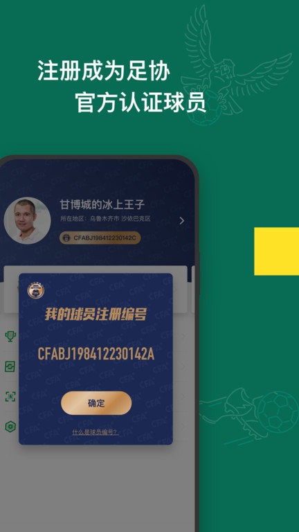 足球中国界面截图预览(4)