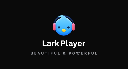 Lark Player