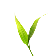 微博士家长端app安卓版v5.2.0最新版