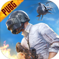 鬼头直装科技（PUBG MOBILE）v2.9.0安卓版