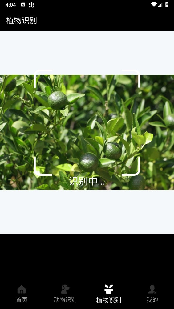 动物百科
