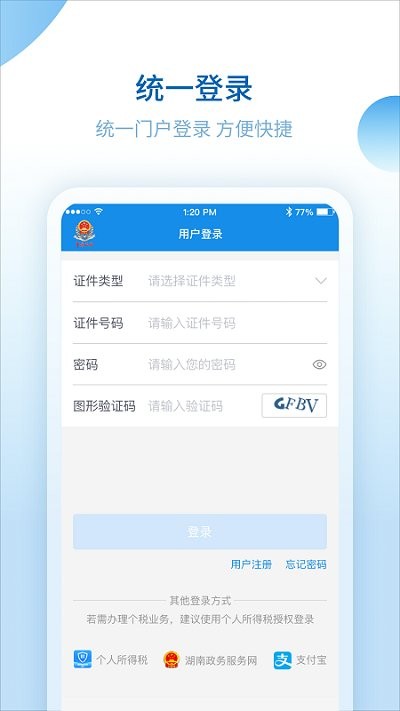 湖南税务服务平台界面截图预览(3)