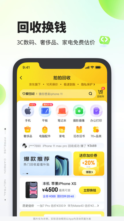 拍拍