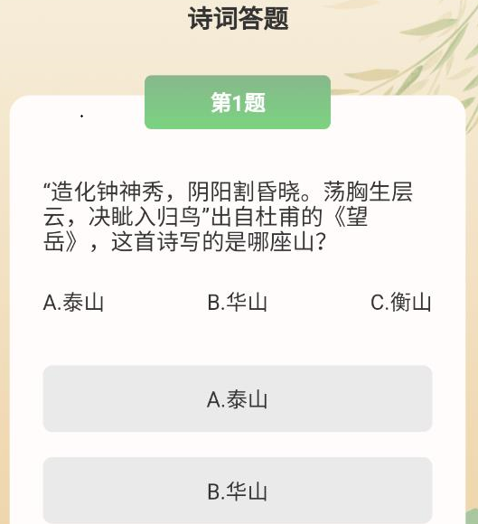 成语掌门人