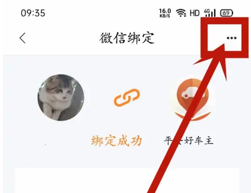 平安好车主