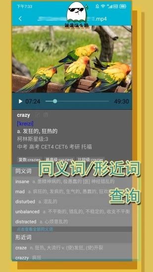 单词播放器界面截图预览(2)