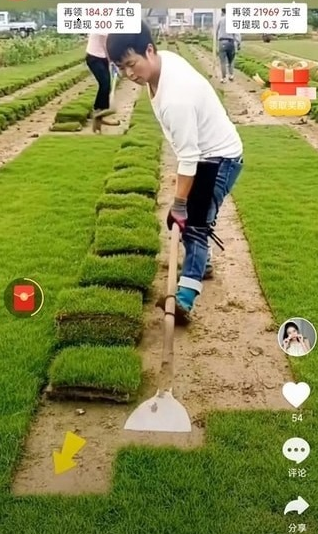 提提乐