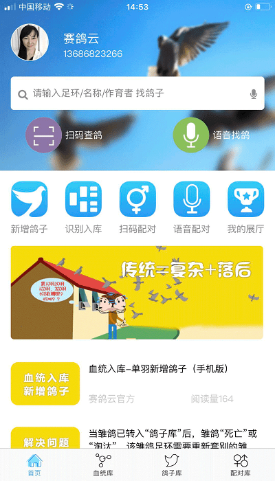 赛鸽云