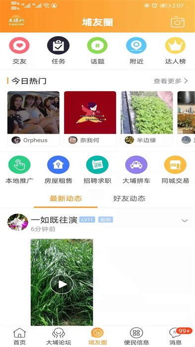 大埔网手机版