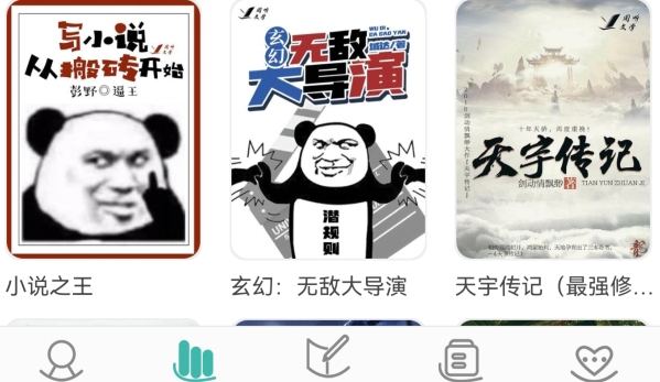 写小说