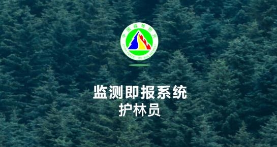 监测即报护林员