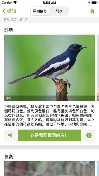 merlin鸟种鉴定(Merlin Bird ID)