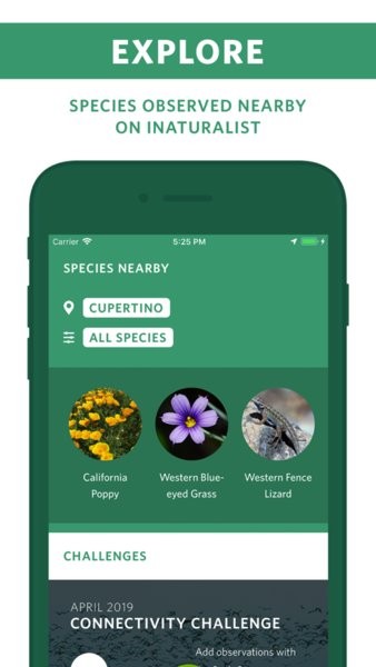iNaturalist Seek物种识别安卓版