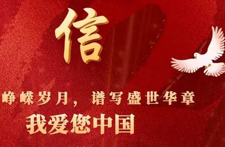 中鸽网