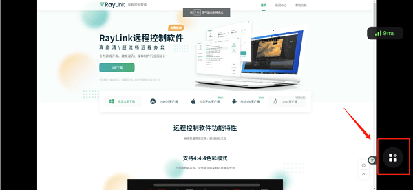 RayLink客户端
