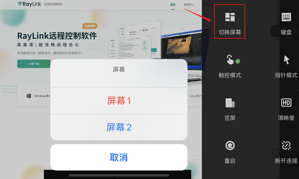 RayLink客户端